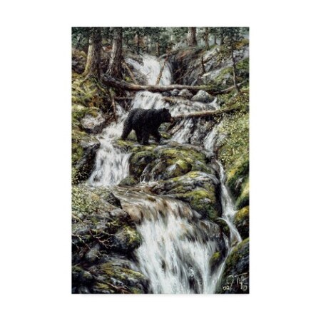 Jeff Tift 'Bear Creek Crossing' Canvas Art,16x24